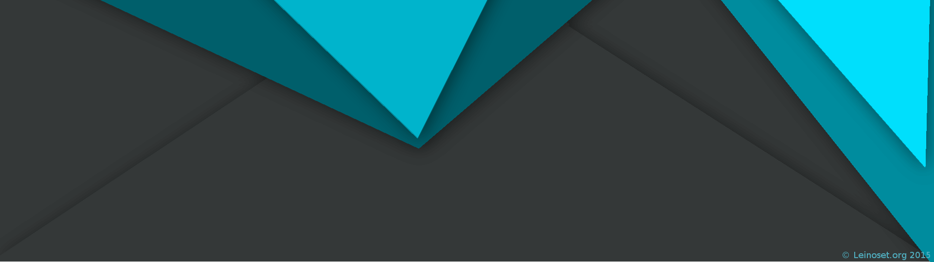 Front- and Backend development, Web and Graphical design, Mobile application development