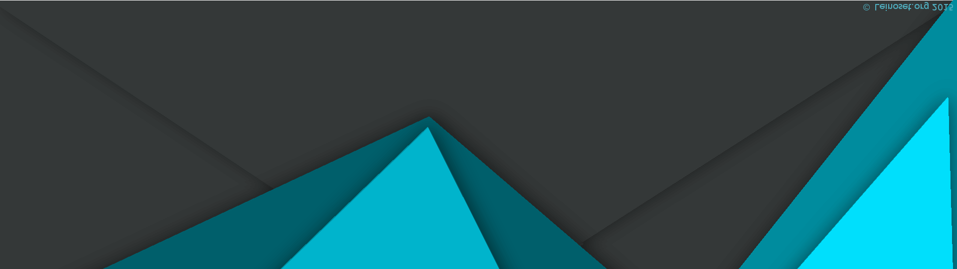 Front- and Backend development, Web and Graphical design, Mobile application development, 3G antenna, CodingWiki